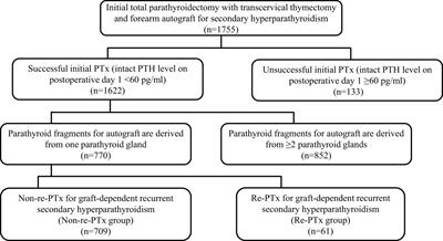 Maximal parathyroid gland diameter as a predictive factor for autograft-dependent recurrent secondary hyperparathyroidism after total parathyroidectomy